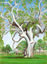 Way Out West: Lombadina Tree | $650